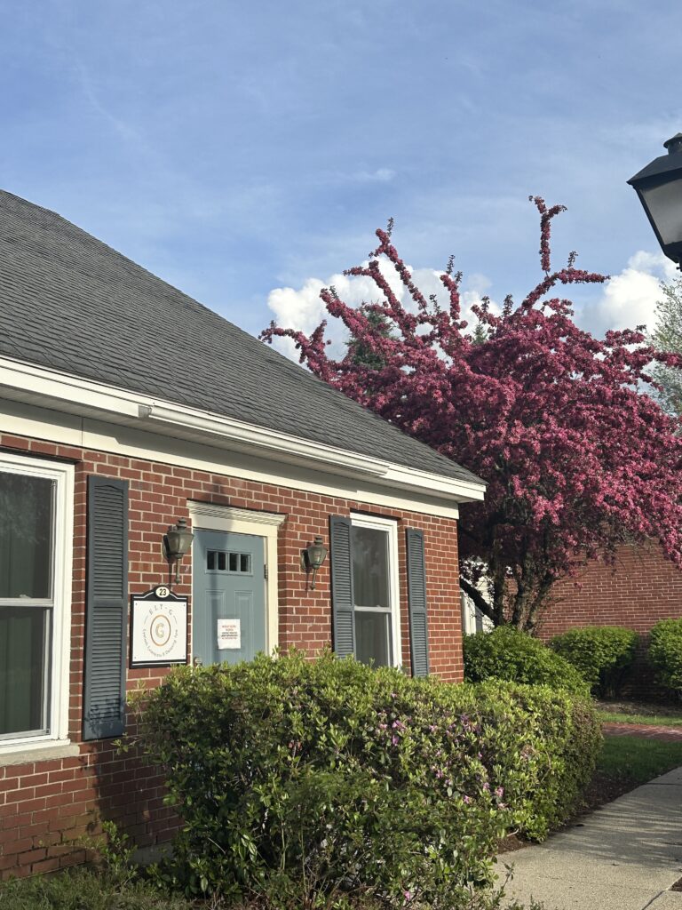 Exterior of Ely-G luxury spa featuring serene ambiance with a bright blue sky and colorful trees/bushes, perfect for eyelash extensions, permanent makeup, facials, waxing, nails, and head spa services.